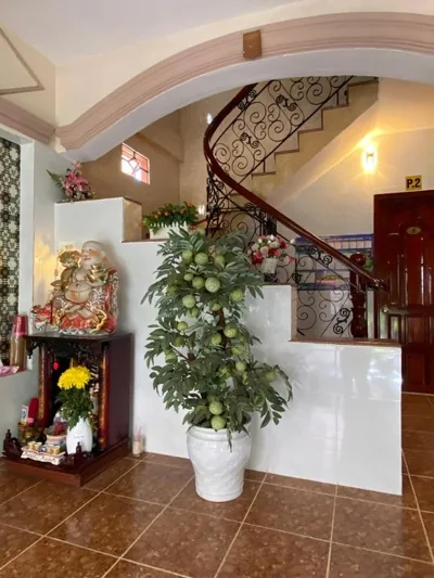 Thai Dat Hotel – Photos 10